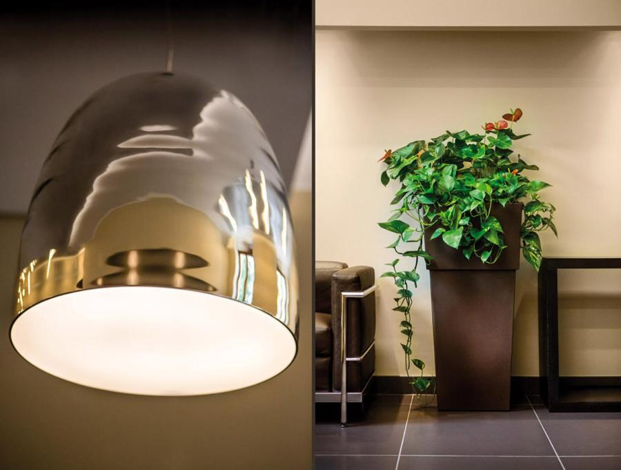 Hotel Il Cantico St. Peter Roma Dış mekan fotoğraf