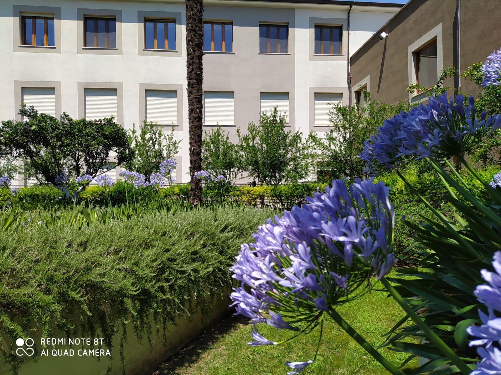 Hotel Il Cantico St. Peter Roma Dış mekan fotoğraf