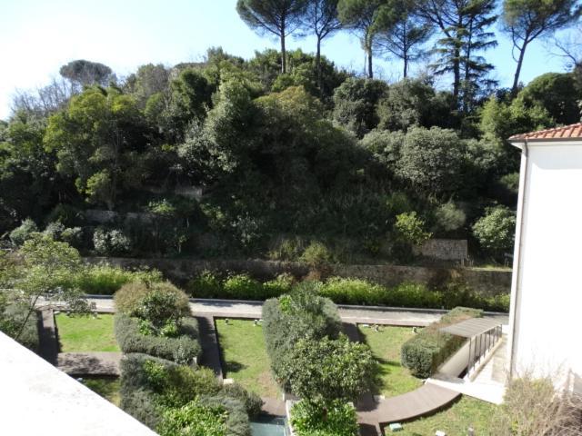 Hotel Il Cantico St. Peter Roma Dış mekan fotoğraf